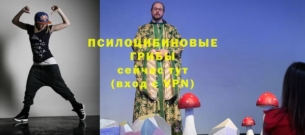 прущие крисы Абинск